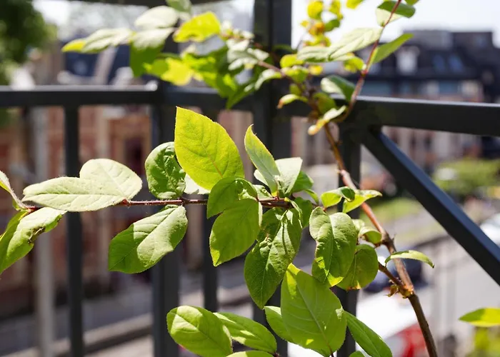 Elisa-1 By Interhome 트로우빌쉬메르