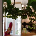 Elisa-1 By Interhome Apartament
