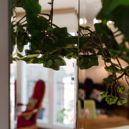 Elisa-1 By Interhome Appartamento