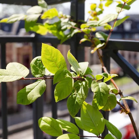 Elisa-1 By Interhome Trouville-sur-Mer